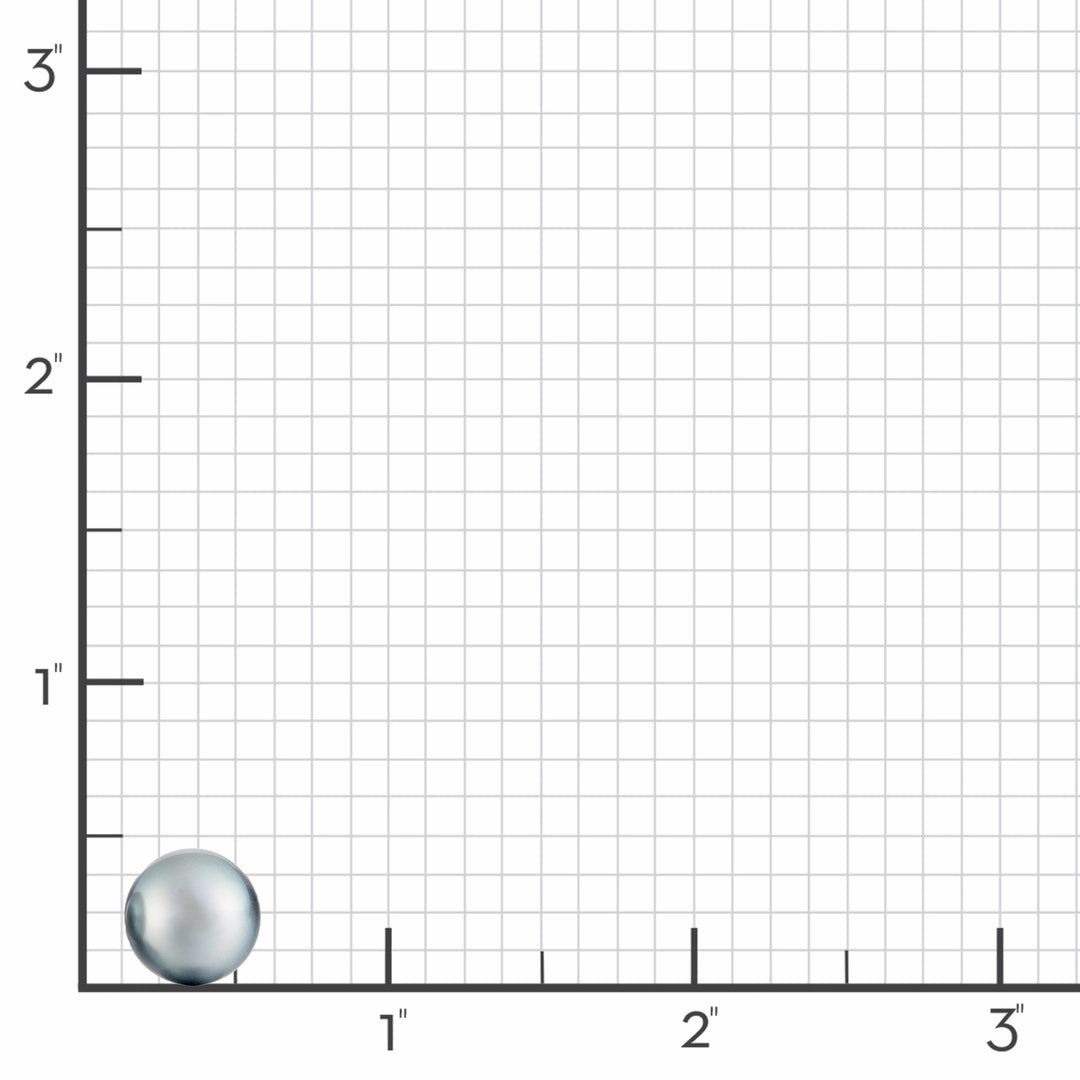 11.7mm Silver Gray Tahitian Pearl Earrings