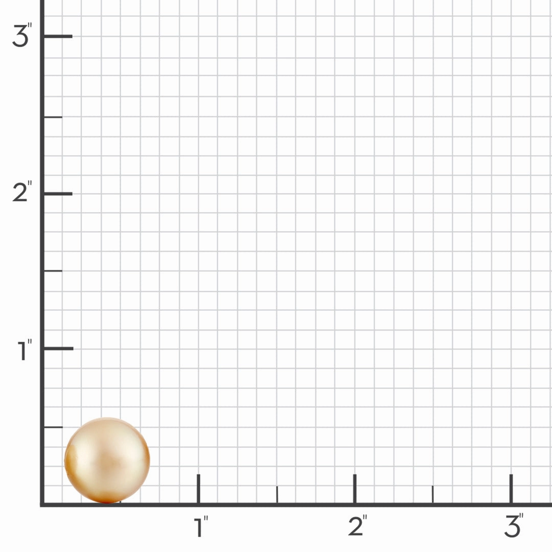 15mm Golden South Sea Pearl Earrings