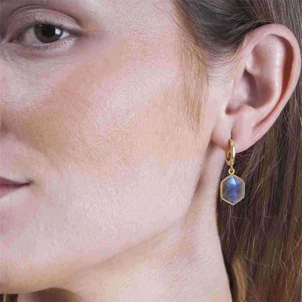 18K Yellow Gold Vermeil Hexagon Labradorite Dangle Earrings