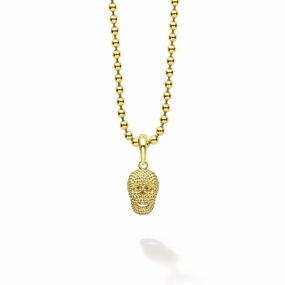 Anthem 18K Gold Skull Amulet Necklace