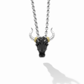 Anthem Black Agate Long Horn Amulet Necklace