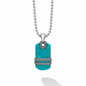 Anthem Black Turquoise Tag Amulet Necklace