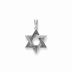 Anthem Large Silver Star of David Amulet