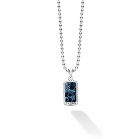 Anthem Small Pietersite Tag Amulet Necklace
