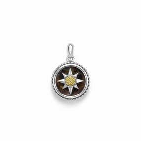 Anthem Small Two-Tone Pietersite Circle Burst Amulet