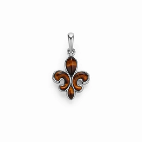 Anthem Tiger Eye Fleur De Lis Amulet