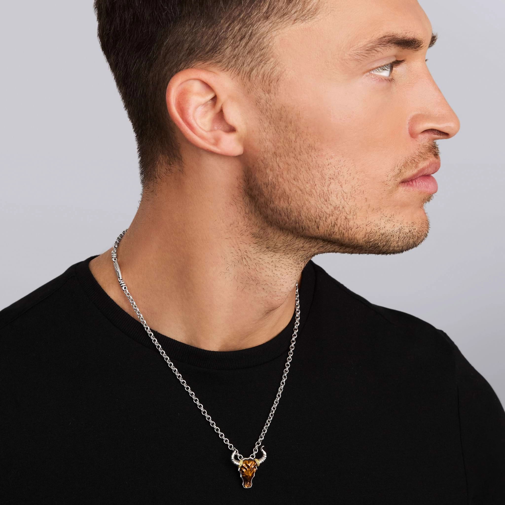 Anthem Tiger Eye Long Horn Amulet Necklace