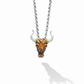 Anthem Tiger Eye Long Horn Amulet Necklace