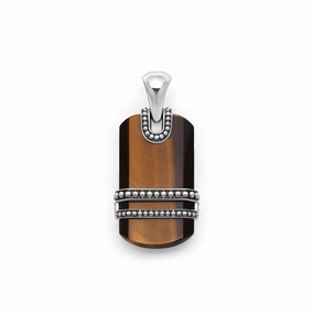 Anthem Tiger Eye Tag Amulet