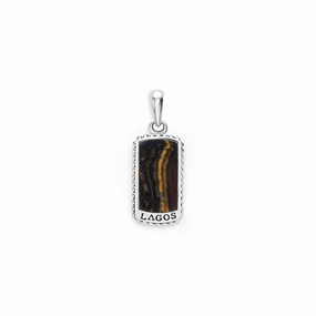 Anthem Tiger Iron Tag Amulet