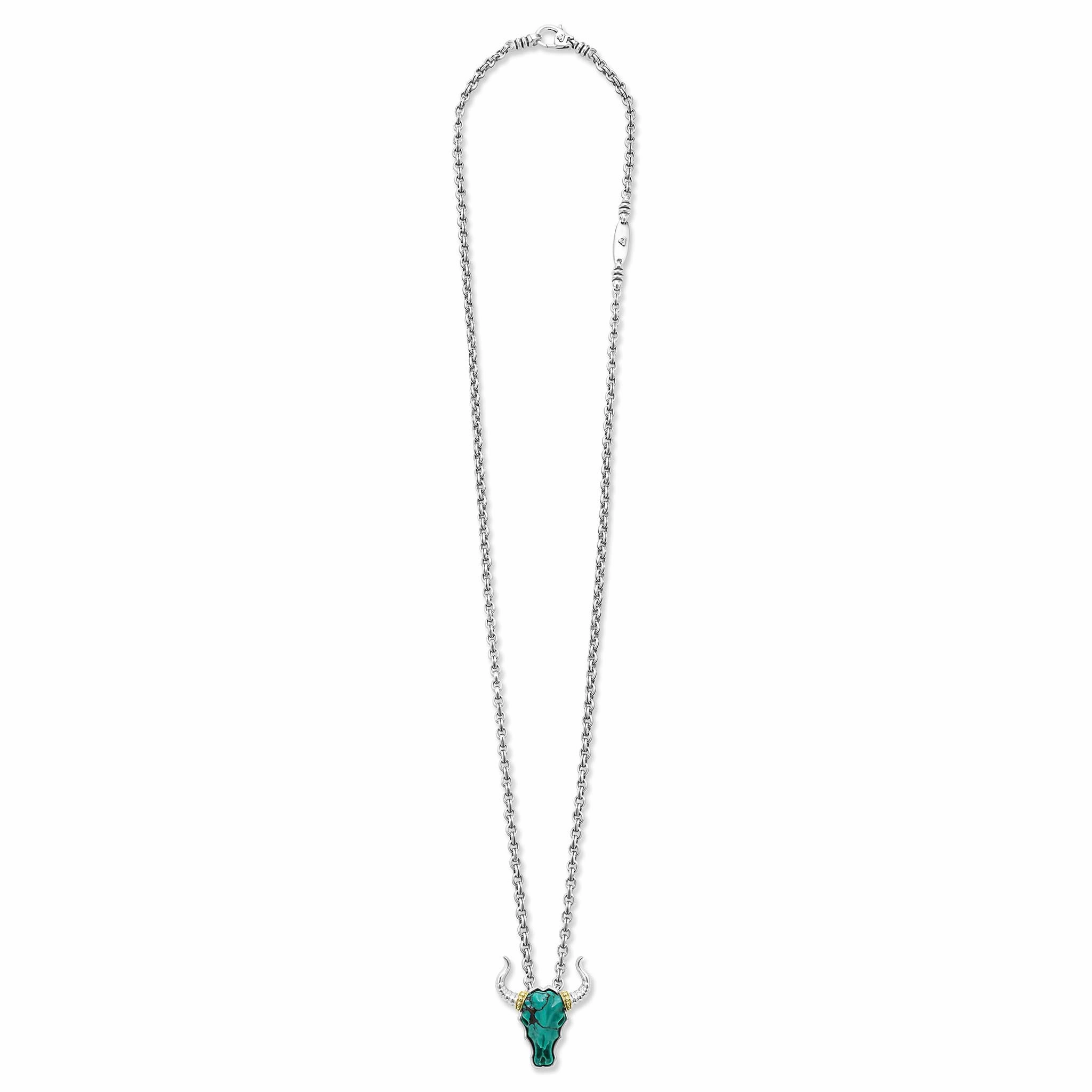 Anthem Turquoise Long Horn Amulet Necklace