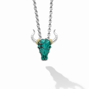 Anthem Turquoise Long Horn Amulet Necklace
