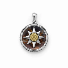 Anthem Two-Tone Pietersite Circle Burst Amulet