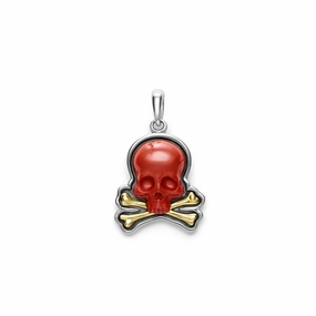 Anthem Two-Tone Red Jasper Skull and Bones Amulet