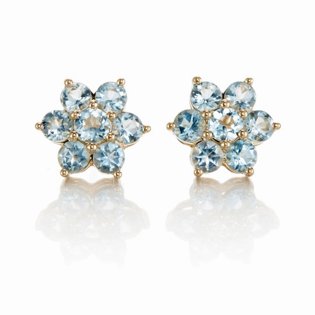 Aurora Earrings in Aquamarines