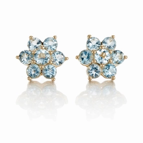Aurora Earrings in Aquamarines