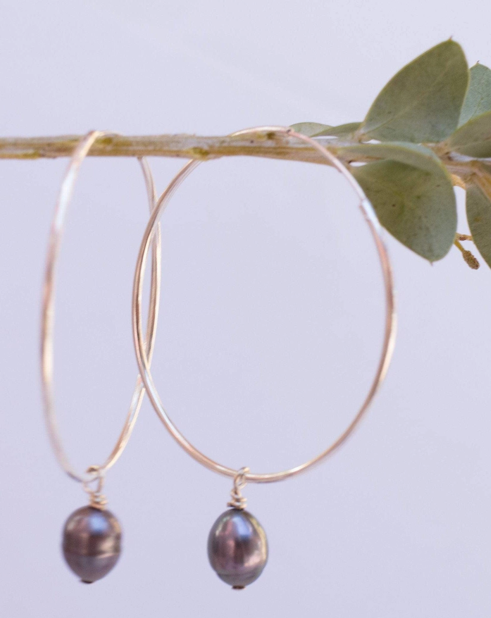 Black Pearl Hoop Earrings ~ Sterling Silver or 14k Gold Filled   ~ ME052