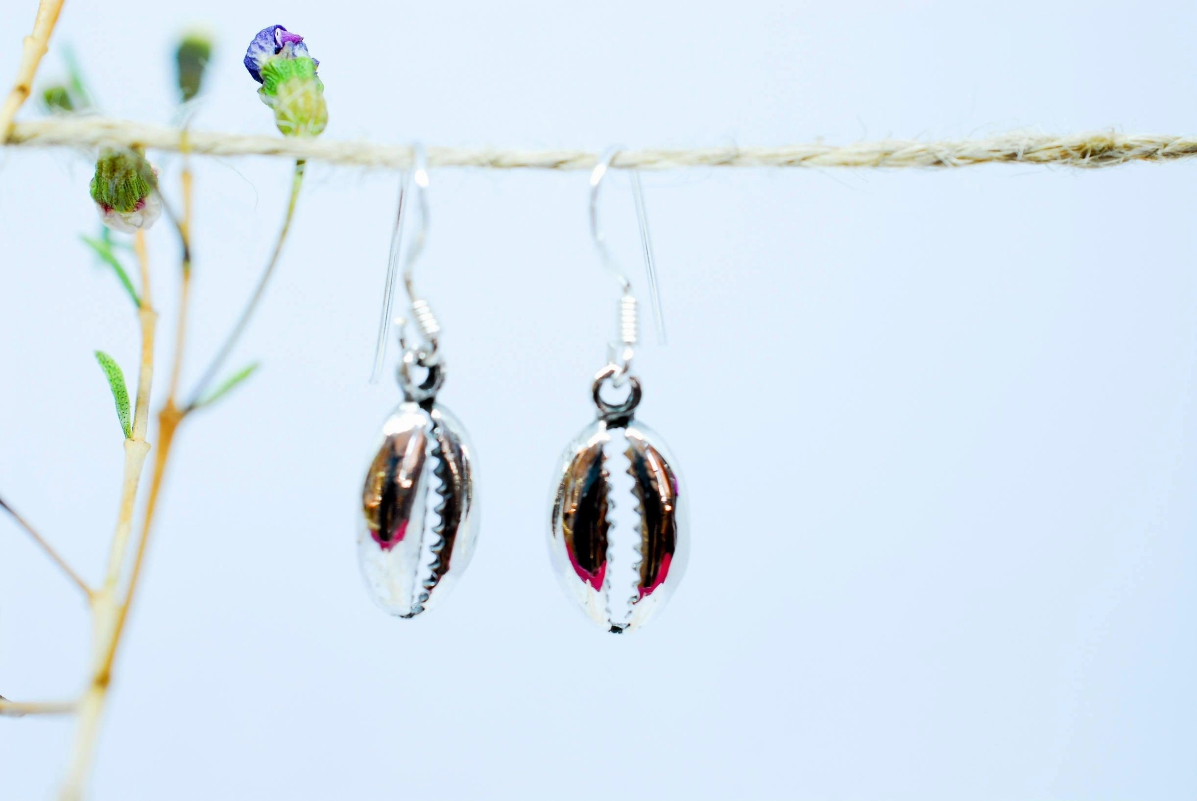 Cowrie Shell Drop Earrings  ~Sterling Silver 925~ME006