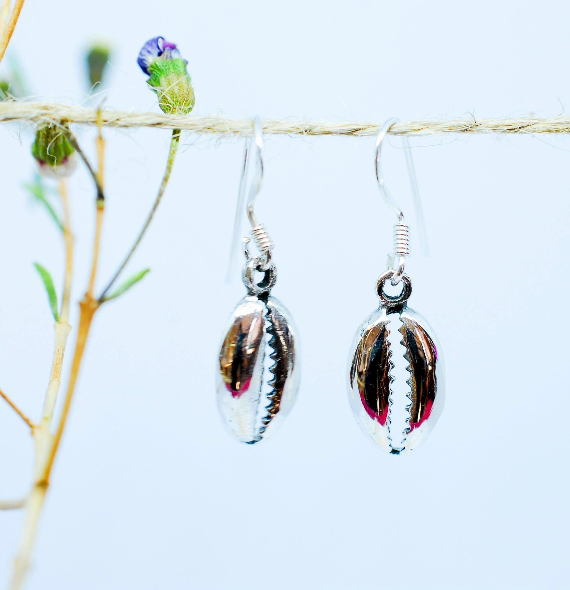 Cowrie Shell Drop Earrings  ~Sterling Silver 925~ME006