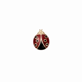 Ladybug Charm
