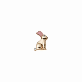 Rabbit Charm
