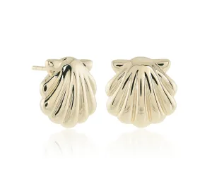 Scallop Shell Earrings