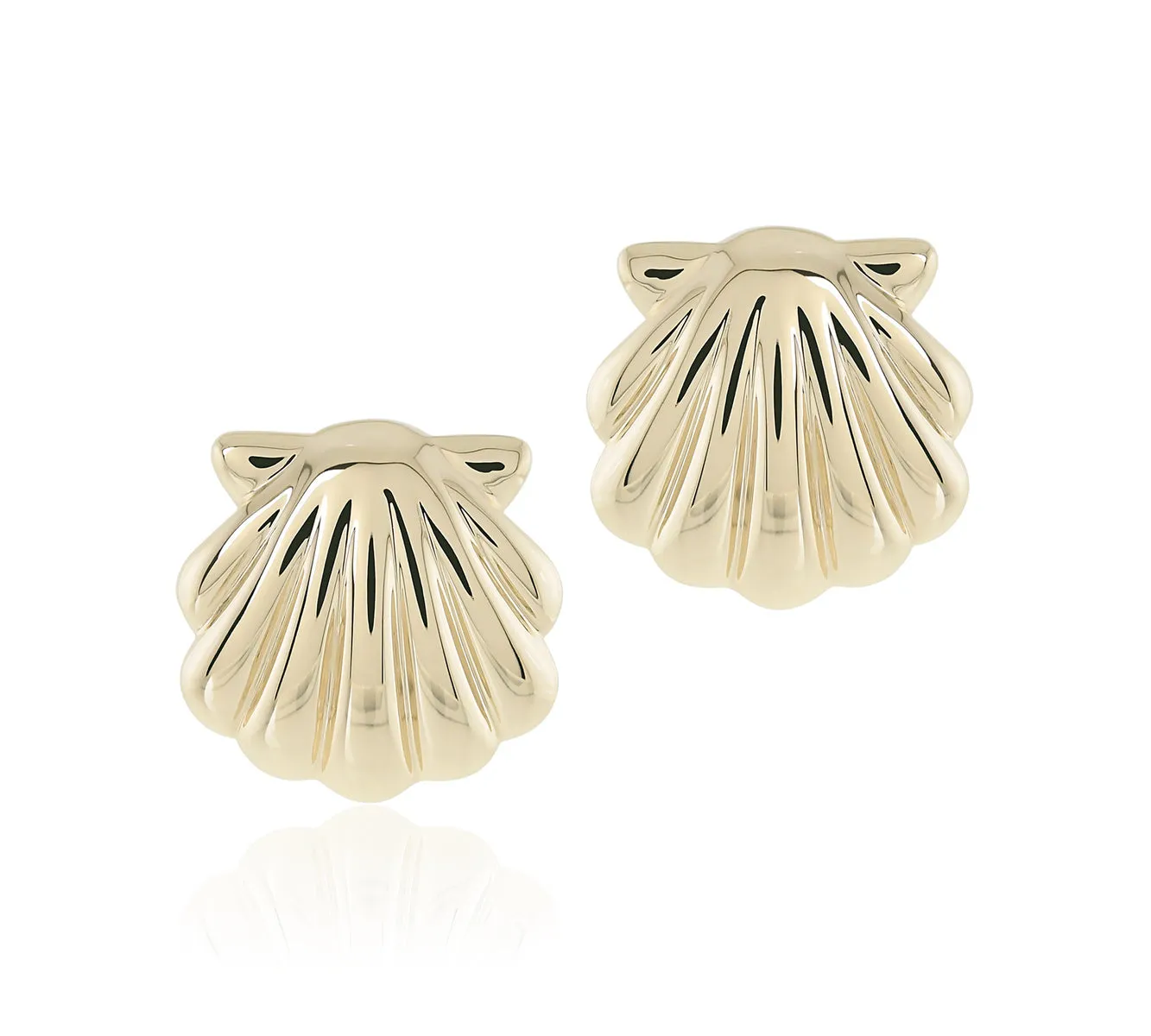 Scallop Shell Earrings