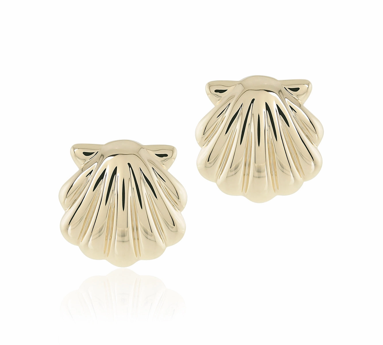 Scallop Shell Earrings
