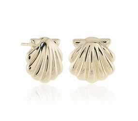 Scallop Shell Earrings