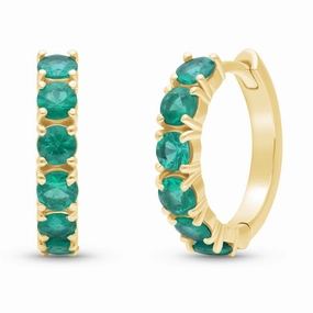 Solea Hoop Earrings - YG