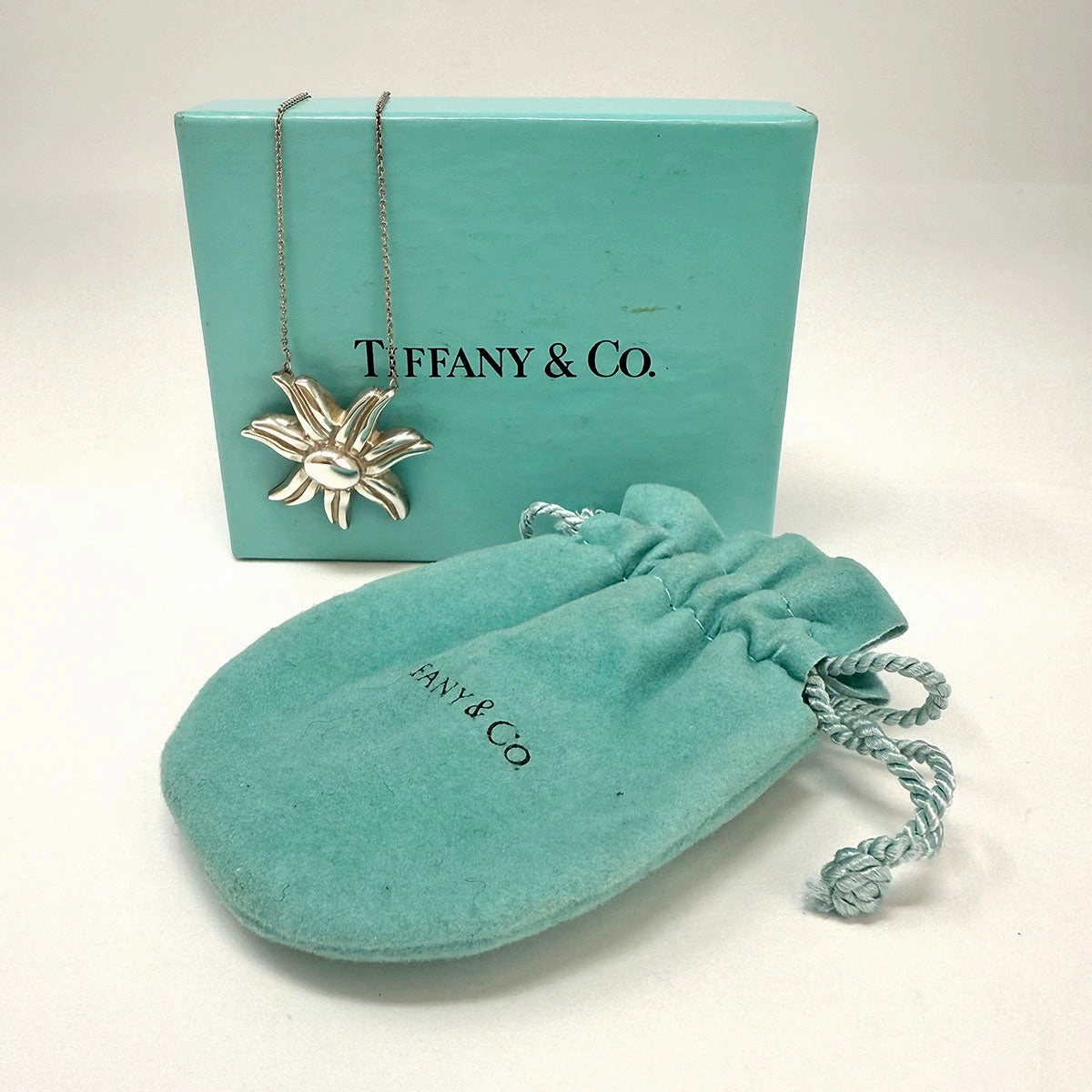 Tiffany & Co. Necklace