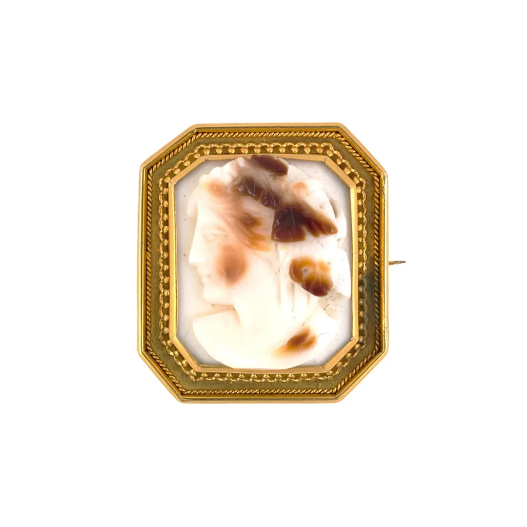 Victorian Stone Cameo Framed Pin
