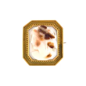 Victorian Stone Cameo Framed Pin